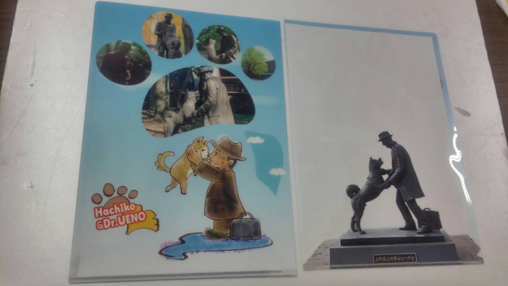 写真（渡壁製クリアファイル）