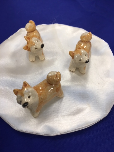 写真（豆　秋田犬）